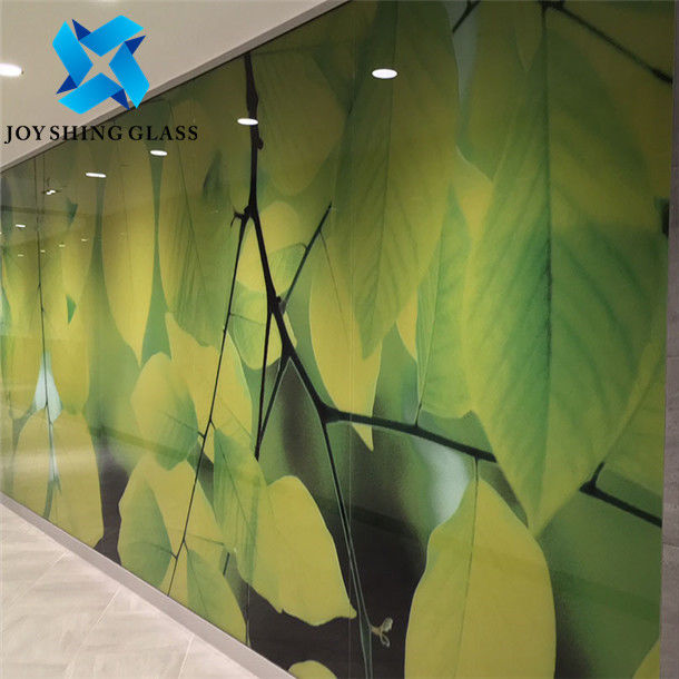 Aangemaakt Digitaal Gekleurd Glansglas 4mm 6mm 8mm 10mm Art Glass